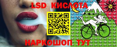прущие грибы Белорецк