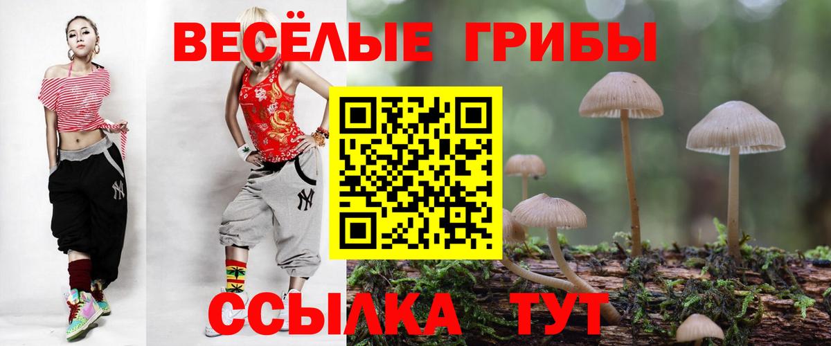 Псилоцибиновые грибы мухоморы Долгопрудный