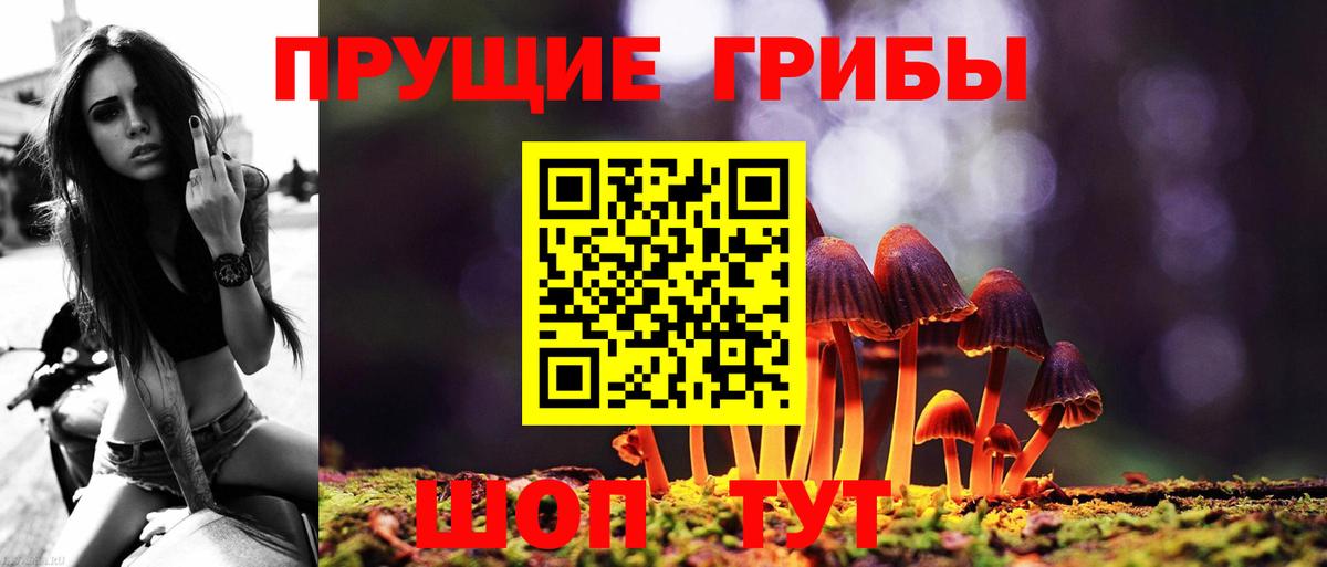 Долгопрудный  Галлюциногенные грибы Cubensis  Вход с VPN 